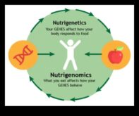 DNA’nız, Kaderiniz Nutrigenomiğin GeleceğiGenlerinizin yediğiniz yiyecekleri nasıl etkilediği ve bu yiyeceklerin sağlığınızı nasıl etkilediği.